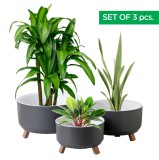 Cumpara ieftin Set 3 Ghivece, ginzamaison, model ELITE, 3 Picioare Pliabile, Forma Rotunda, Suport interior pentru Drenaj, Culoare Gri, Diametru: 1x15 cmm, 1x18 cm,
