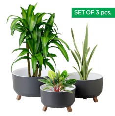 Set 3 Ghivece, ginzamaison, model ELITE, 3 Picioare Pliabile, Forma Rotunda, Suport interior pentru Drenaj, Culoare Gri, Diametru: 1x15 cmm, 1x18 cm,