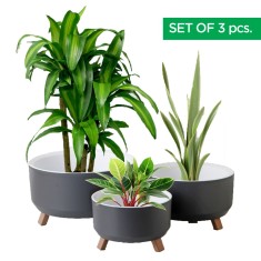 Set 3 Ghivece, ginzamaison, model ELITE, 3 Picioare Pliabile, Forma Rotunda, Suport interior pentru Drenaj, Culoare Gri, Diametru: 1x15 cmm, 1x18 cm,