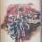 Salammbo, Gustave Flaubert, Ed Eminescu 1973, 310 pag