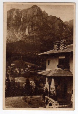 POIANA TAPULUI ZAMORA RPR LIBRARIA NOASTRA foto
