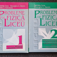PROBLEME DE FIZICA PENTRU LICEU - Gabriela Cone (2 volume)