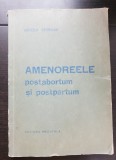Amenoreele postabortum și postpartum - Mihaela Georgian