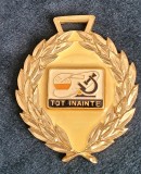 Insigna / distinctie piomiereasca