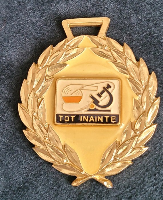 Insigna / distinctie piomiereasca