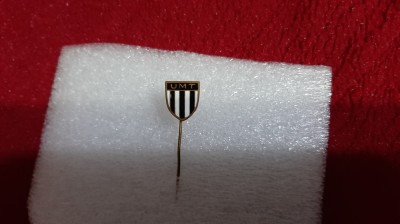 Insigna UM Timisoara foto