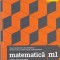 M. Andronache, D. Serbanescu, M. Perianu, C. Ciupala, F. Dumitrel - Matematica M1 pentru bacalaureat