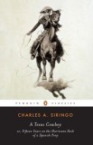 A Texas Cowboy: Or, Fifteen Years on the Hurricane Deck of a Spanish Pony