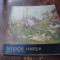 N. Laptoiu - Teodor Harsia - 1980