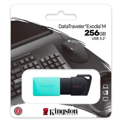 FLASH DRIVE 256GB DTXM USB 3.2 KINGSTON foto