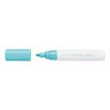 Cumpara ieftin Marker cu vopsea Pilot Pintor Pastel M culori pastelate 1.4mm Marker cu vopsea Pilot Pintor Pastel varf rotund 4.5 mm verde