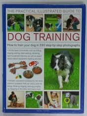 THE PRACTICAL ILLUSTRATED GUIDE TO DOG TRAINING by PATSY PARRY , 2012