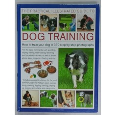 THE PRACTICAL ILLUSTRATED GUIDE TO DOG TRAINING by PATSY PARRY , 2012