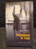 PAIANJENUL IN RANA - MATEI VISNIEC (TEATRU)