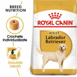 Cumpara ieftin Royal Canin Labrador Adult hrana uscata caine