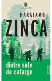 Dintre sute de catarge - Haralamb Zinca