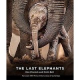The Last Elephants