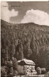 CPIB 22787 - CARTE POSTALA - VEDERE DIN TIMISUL DE JOS, RPR