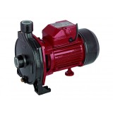 Pompa de apa centrifugala de suprafata periferica Raider, 750 W, 2900 rpm, 28 m, 5760 l/h