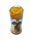 Aranjament floral trandafir in cupola de sticla, lumina Led, Portocaliu