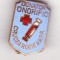 bnk ins Insigna Crucea Rosie a RSR - Donator onorific