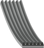 Febi Bilstein Curea transmisie cu caneluri