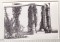Foto  - 1