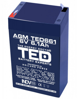 Acumulator stationar 6V 6,1Ah F1 AGM VRLA TED Electric TED661 foto