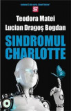 Sindromul Charlotte - Teodora Matei, Lucian Dragos Bogdan, 2022