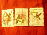 Serie Brazilia 1991 - Flori , 3 valori, Nestampilat