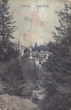 Sinaia Castelul Peles. (circulata)