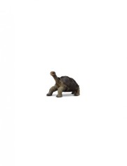 Figurina Broasca Testoasa din Pinta Island M Collecta