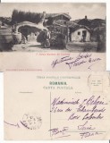 Dobrogea, Constanta -Tatari -Mahala- tipuri-clasica, rara