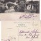Dobrogea, Constanta -Tatari -Mahala- tipuri-clasica, rara