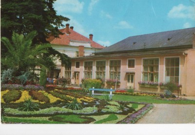 CPI B 11523 CARTE POSTALA - ORADEA, BAILE FELIX foto