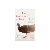 The Evolution of Beauty: How Darwin's Forgotten Theory of Mate Choice Shapes the Animal World - And Us