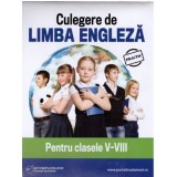 Culegere de limba engleza pentru clasele 5-8- Daniela Stefania Ionescu