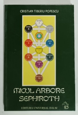 MICUL ARBORE SEPHIROTH de CRISTIAN TIBERIU POPESCU , 2000 foto