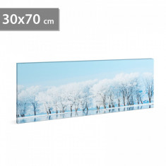 Tablou decorativ cu LED - peisaj de iarnă - 2 x AA, 70 x 30 cm