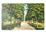 Carte postala Lacul Sarat(Braila):Aleea din parcul englez nenecirc.anii 20, Circulata, Printata