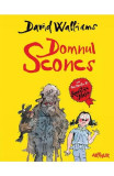 Domnul Sconcs, David Walliams - Editura Art