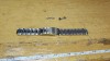 Bratara Cess Casio #A6590