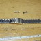 Bratara Cess Casio #A6590