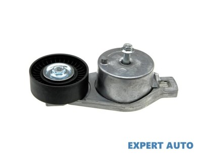 Rola intinzatoare curea alternator Jeep Wrangler 2 (1996-2008)[TJ] #1 foto