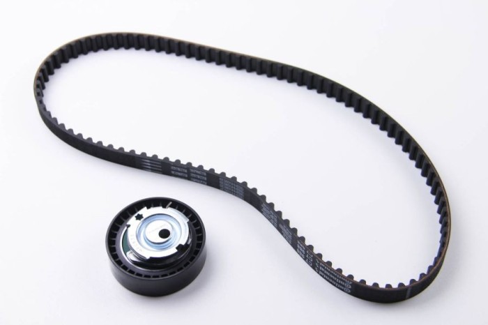 Continental Ctam Set curea de distributie