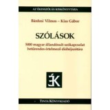 Sz&oacute;l&aacute;sok - 5000 magyar &aacute;lland&oacute;sult sz&oacute;kapcsolat betűrendes &eacute;rtelmező di&oacute;h&eacute;jsz&oacute;t&aacute;ra - Kiss G&aacute;bor