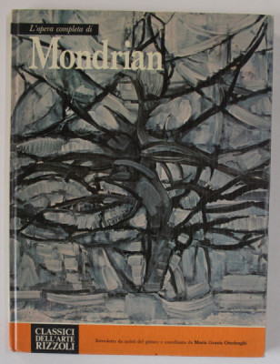 L &amp;#039;OPERA COMPLETA DI MONDRIAN , coordinata da MARIA GRAZIA OTTOLENGHI , 1974 , TEXT IN LIMBA ITALIANA foto