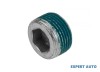 Surub golire baie ulei Fiat Punto (1993-1999) [176] #1