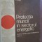 Protectia muncii in sectorul energetic manual- P. Iftime