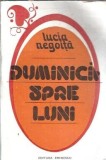 Cumpara ieftin Duminica spre luni - Lucian Negoita